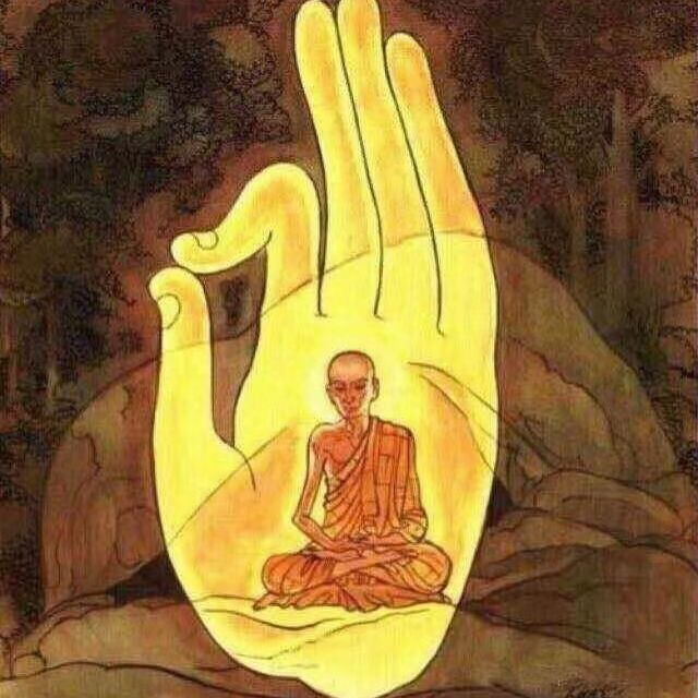 晨晨