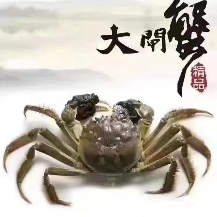 浩然