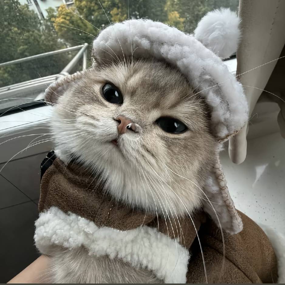 群主