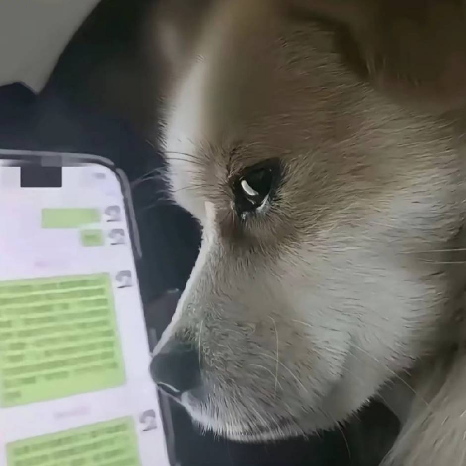 小鹿